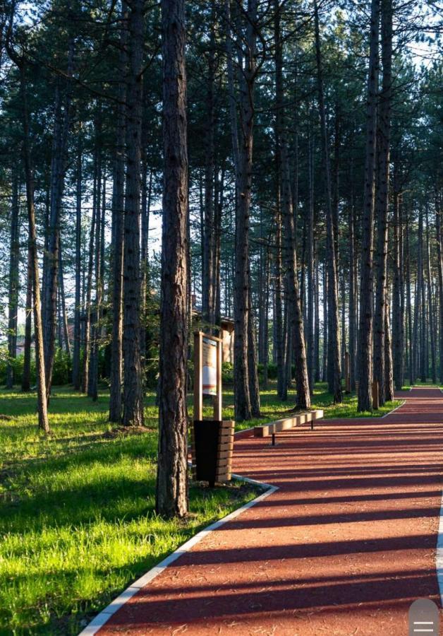 Apartman Pavle Zlatibor Exterior foto